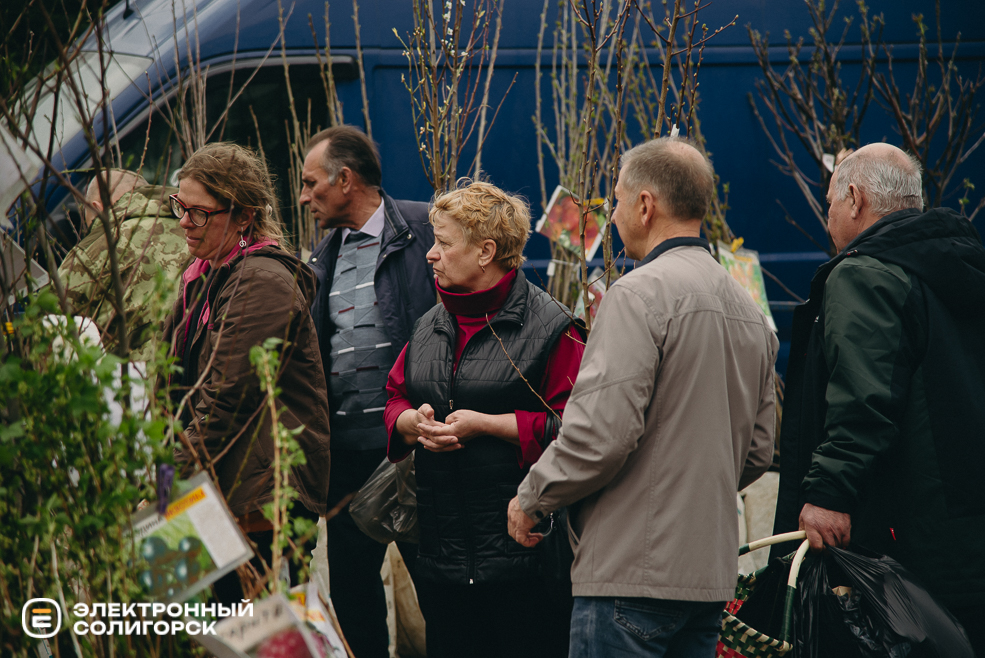 ярмарка весна 2024