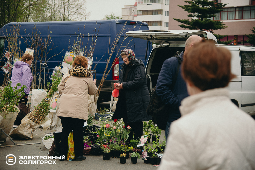 ярмарка весна 2024