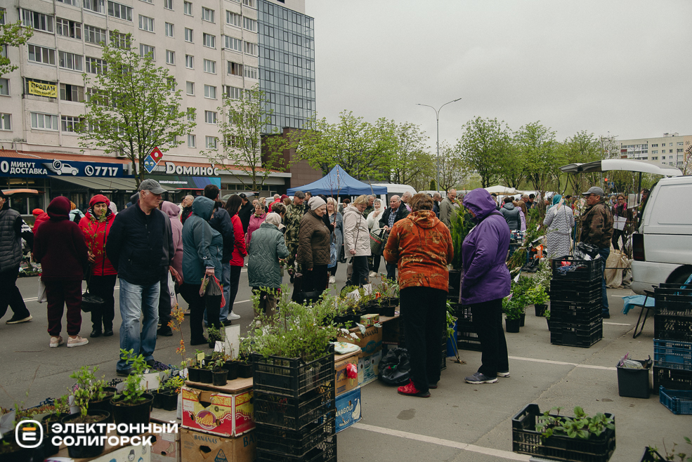 ярмарка весна 2024