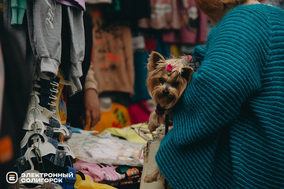 ярмарка весна 2024