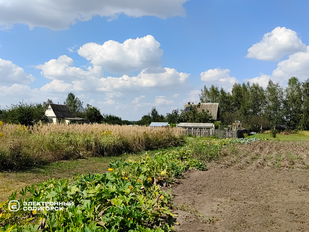 дача солигорск