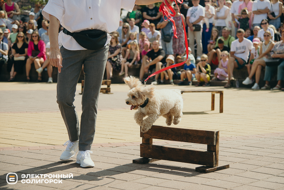 атмосфера день города 2024