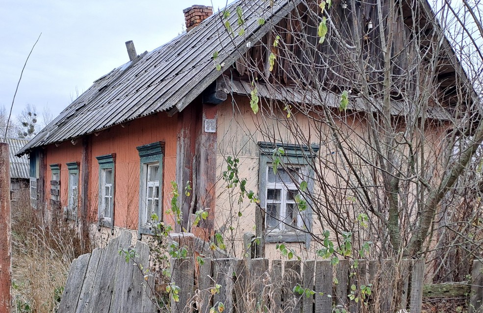 Дом в деревне Красное Озеро Солигорского района