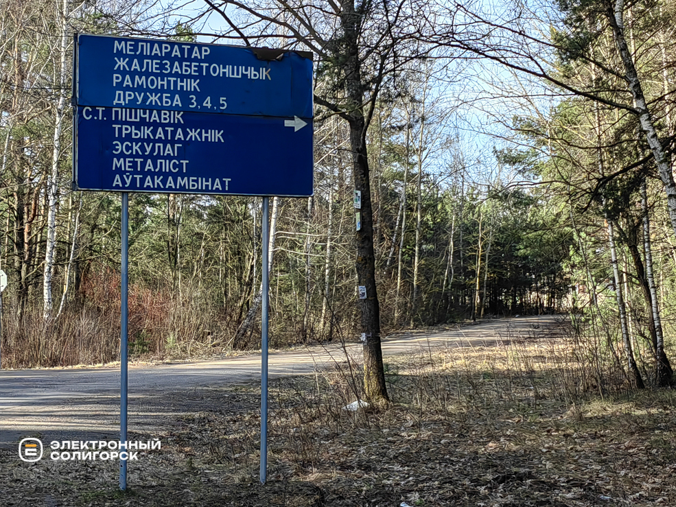 Дачи Солигорского района