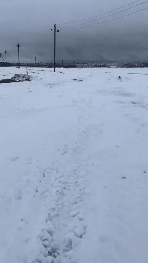 Дорога в Чижовке