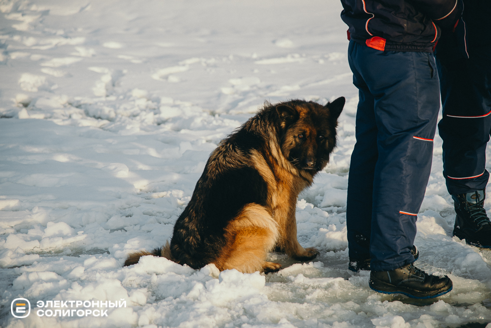 крещенские купания 2024