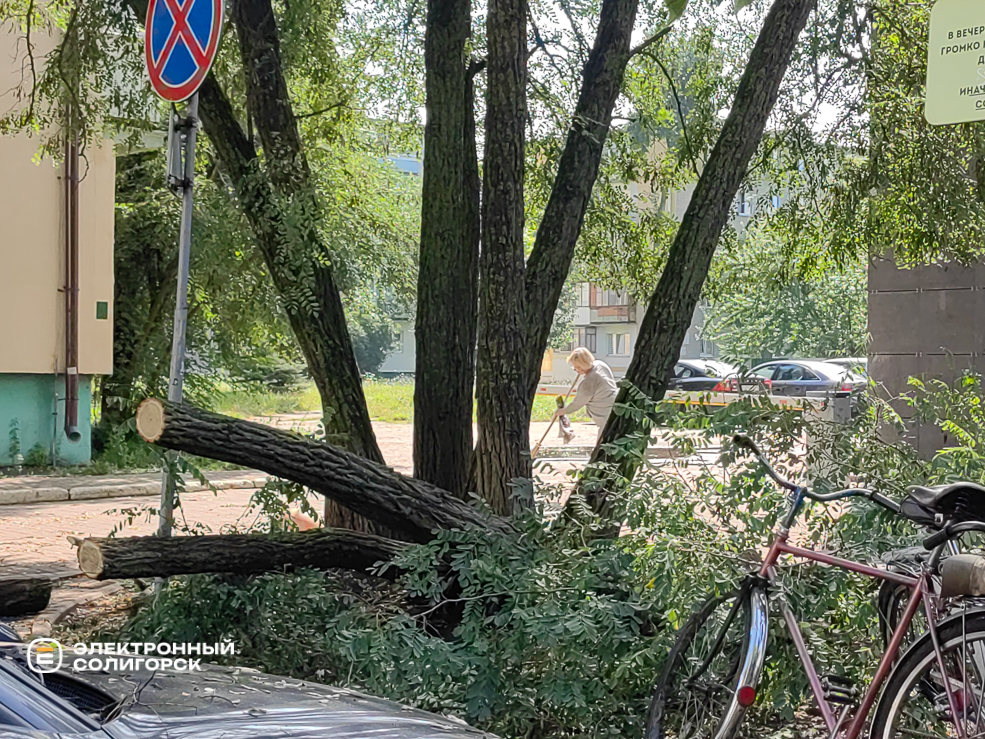 Последствия грозы в Солигорске