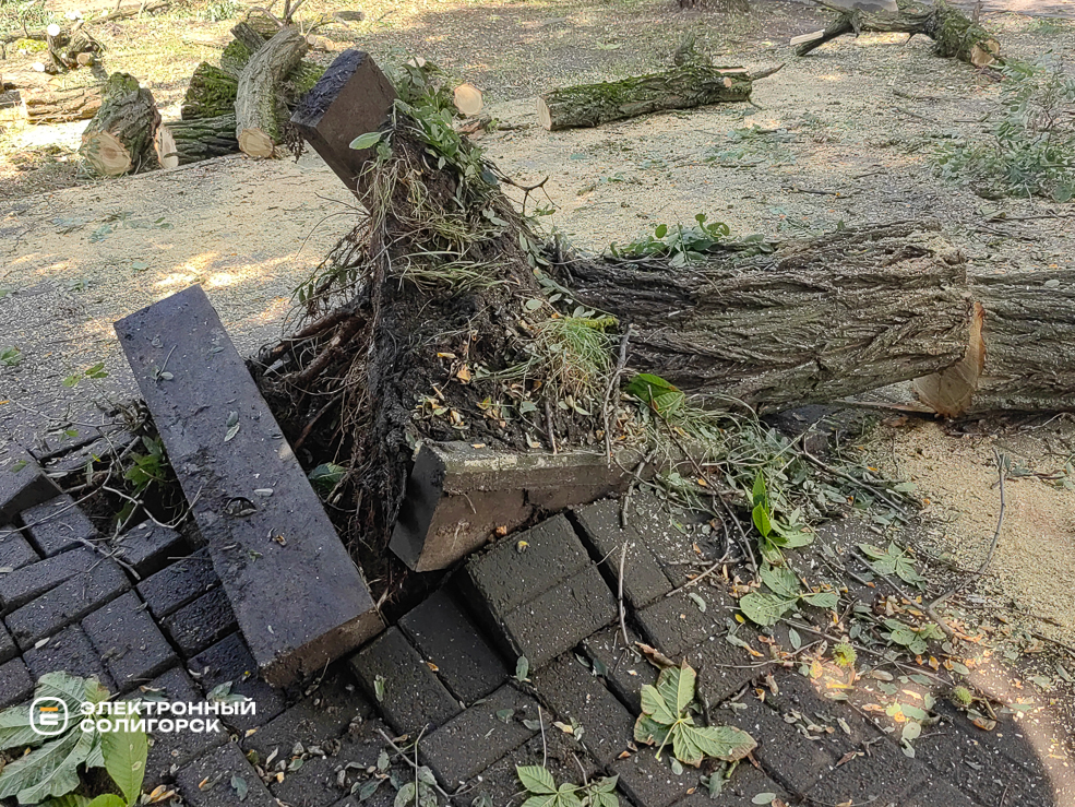 Последствия грозы в Солигорске