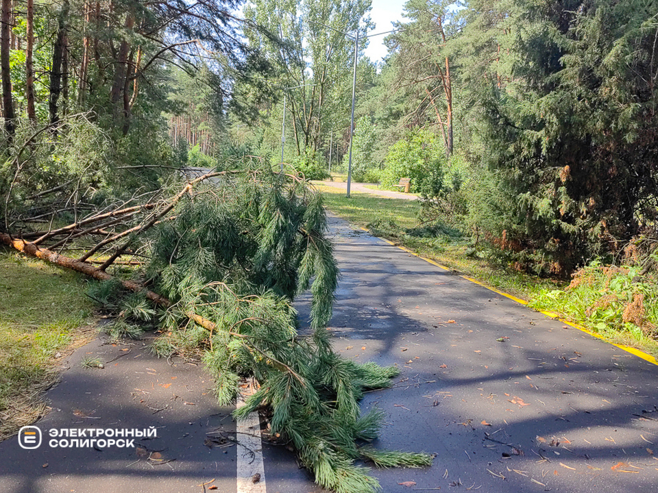 Последствия грозы в Солигорске