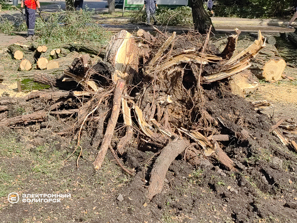 Последствия грозы в Солигорске