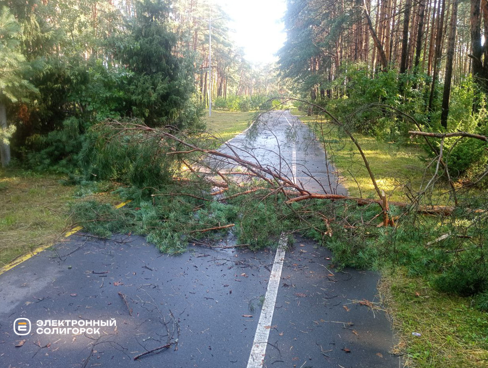 Последствия грозы в Солигорске