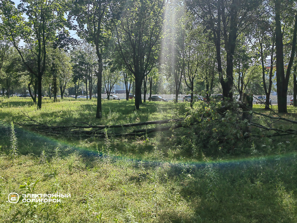 Последствия грозы в Солигорске