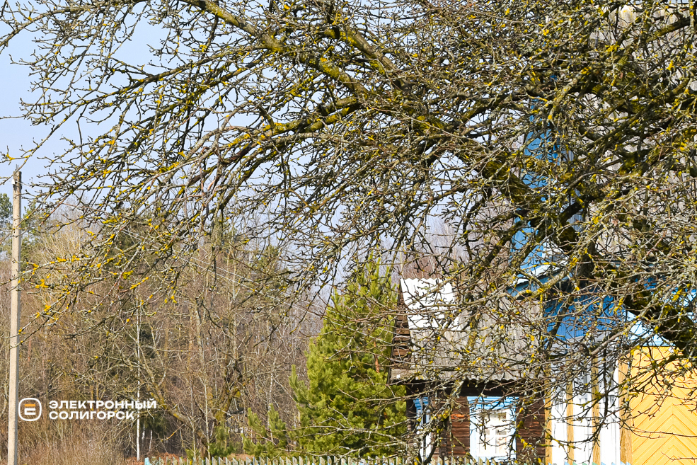 Деревня Дубица Солигорский район