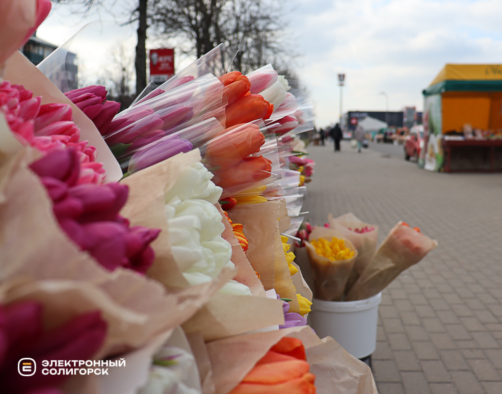 тюльпаны Солигорск