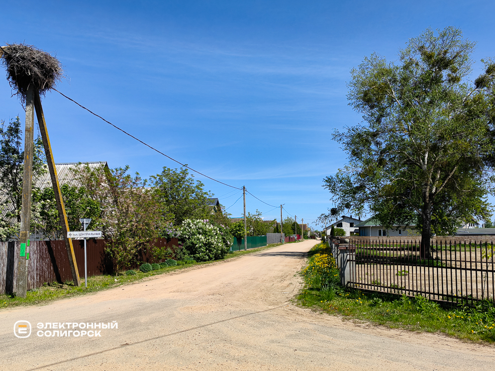 Чижовка Солигорского района