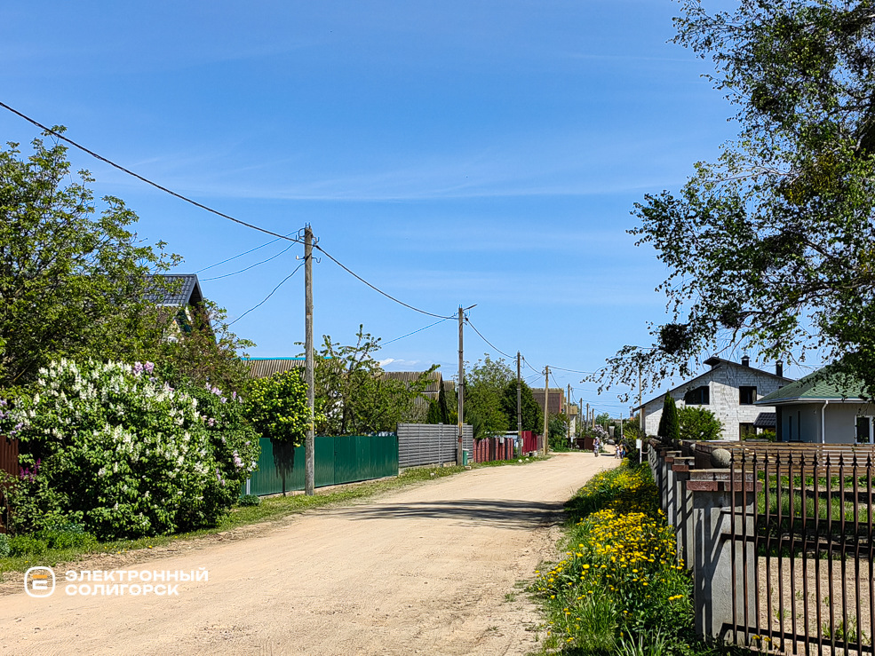 Чижовка Солигорского района