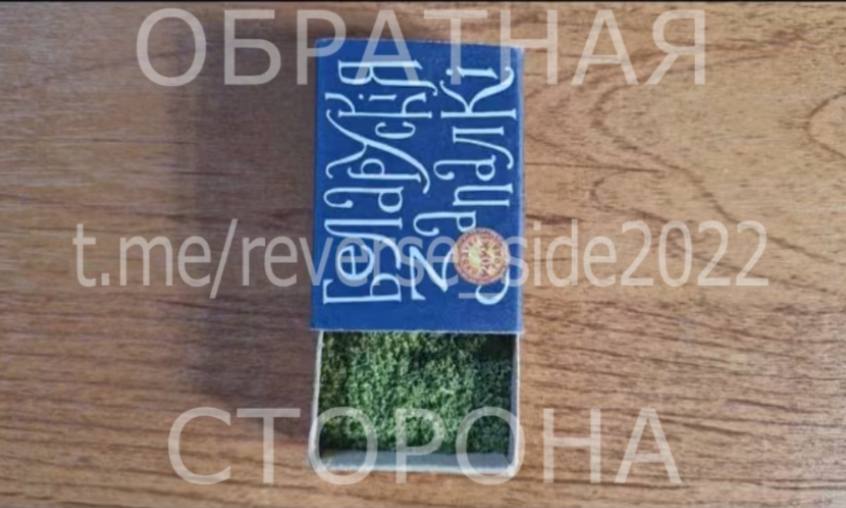 photo 5194917374812355187 y