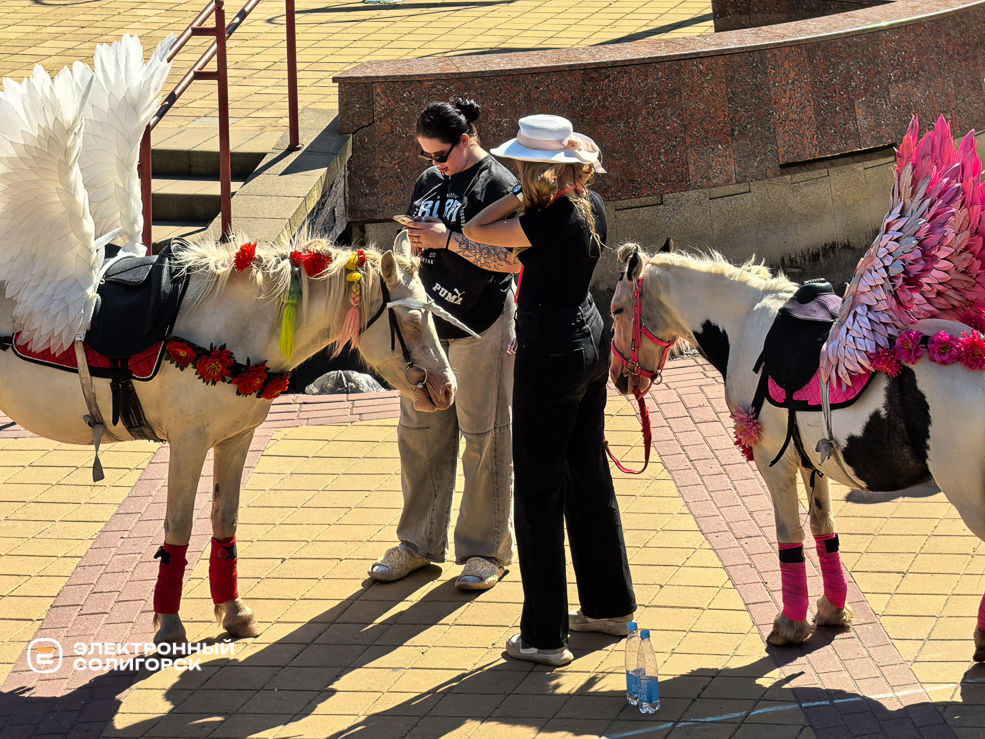 День города в Солигорске