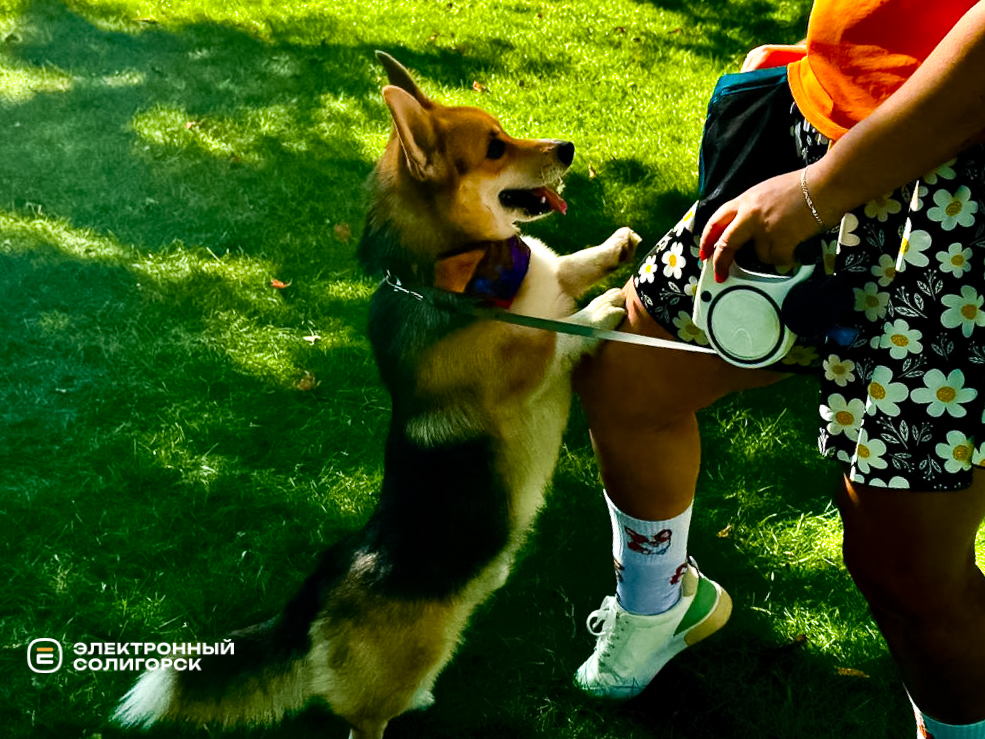 День города в Солигорске