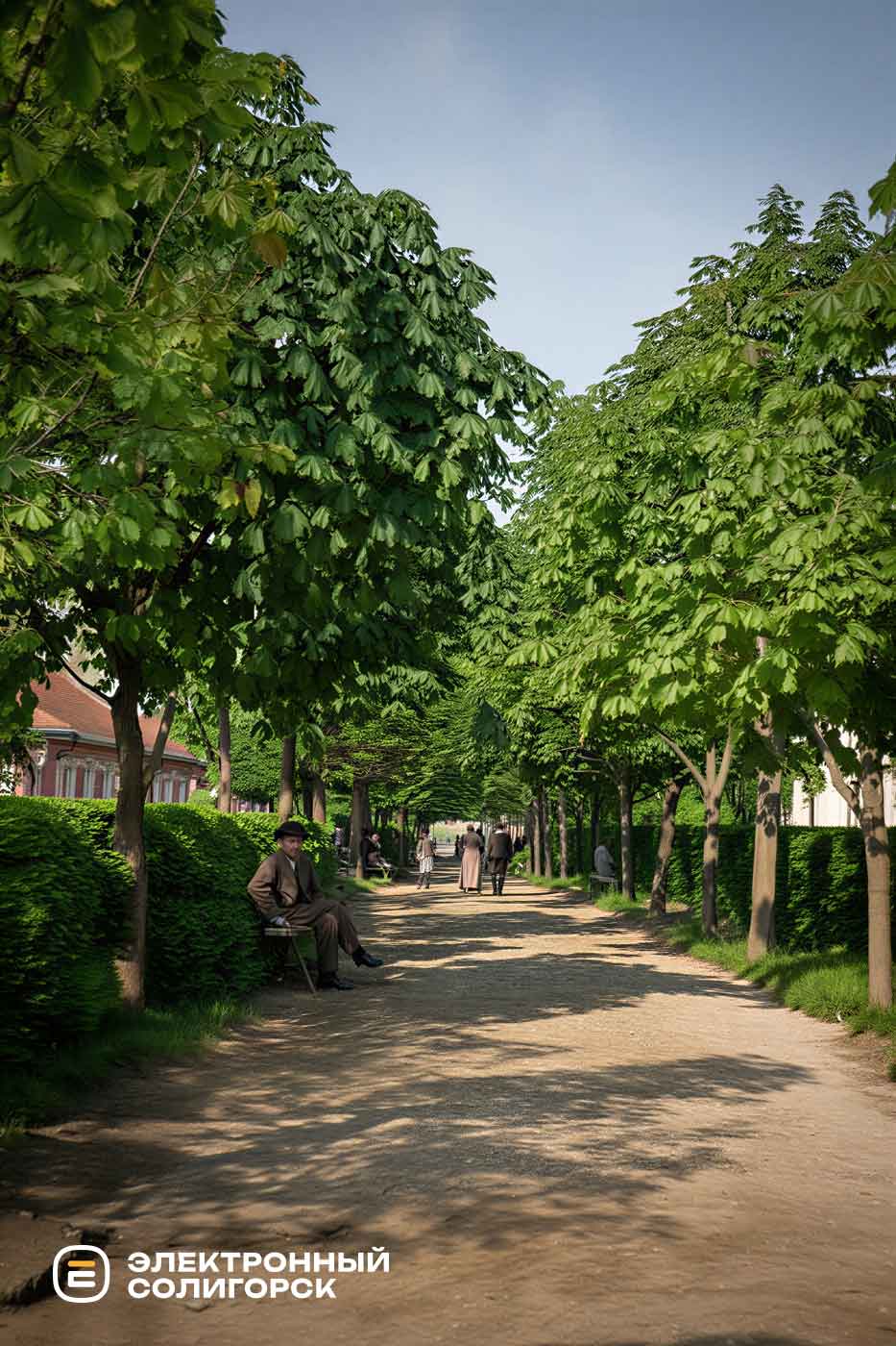 Бульвар каштанов на ул. Широкая, слуцк