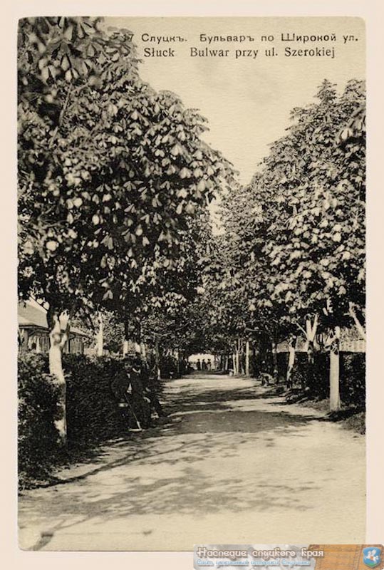 Бульвар каштанов на ул. Широкая, слуцк