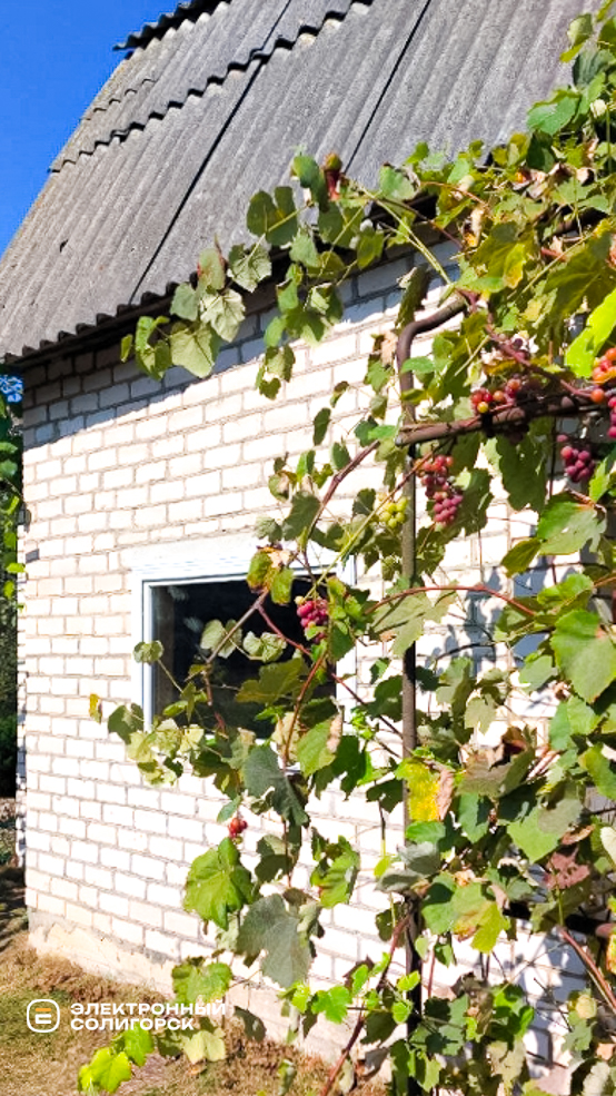 Купить дачу в Солигорском районе