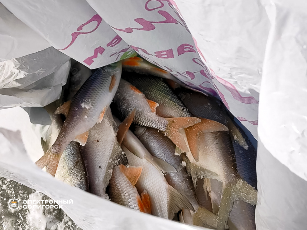 Солигорские рыбаки