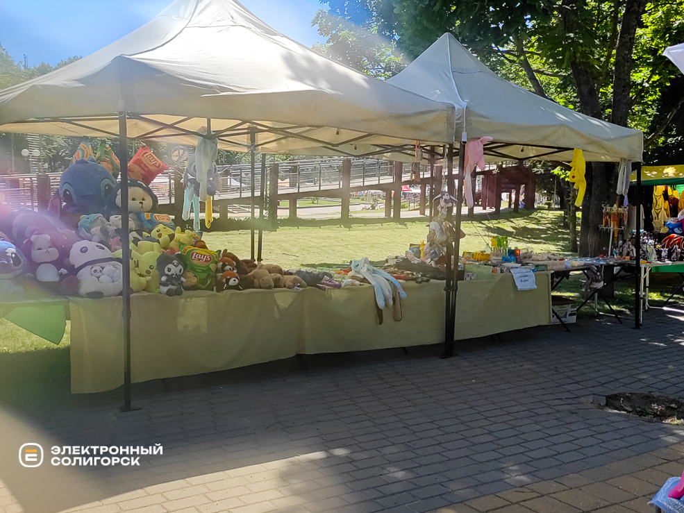 День Независимости в Солигорске