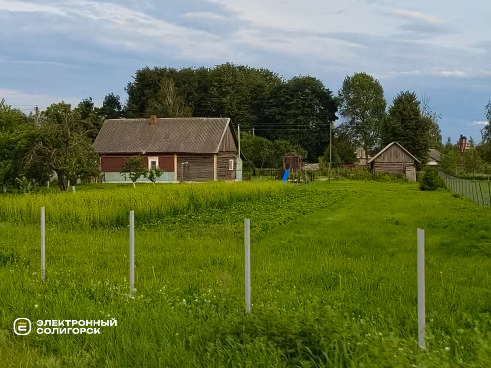 Деревня Великий Быков Слуцкого района