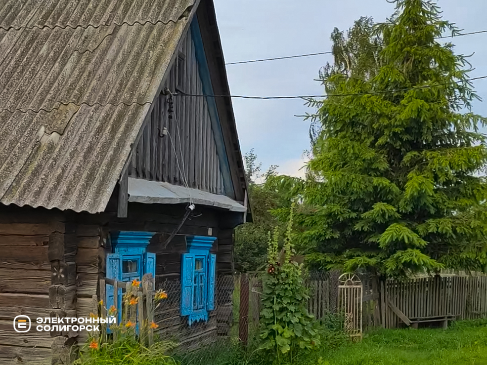 Деревня Великий Быков Слуцкого района
