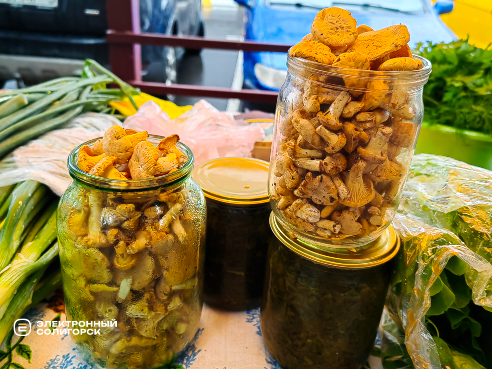 Солигорские грибники