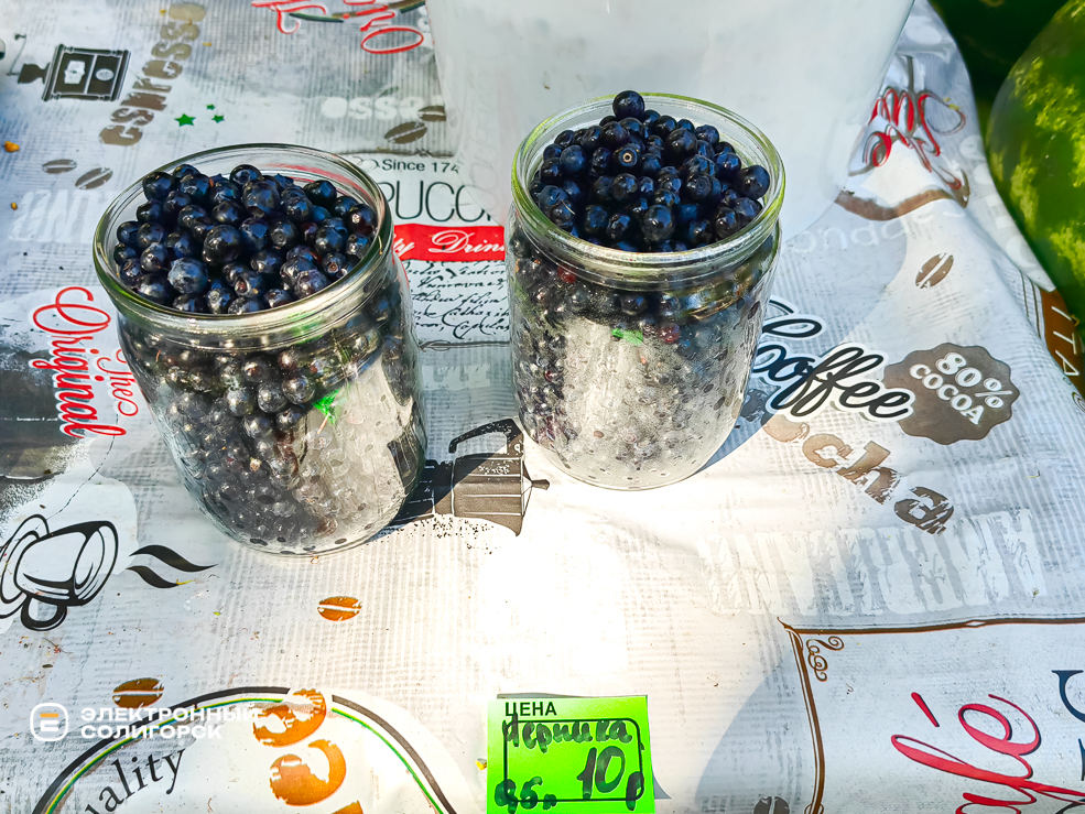 Черника в Солигорске
