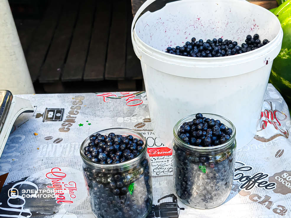 Черника в Солигорске