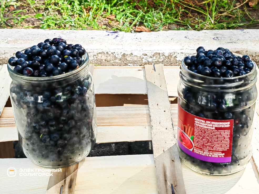 Черника в Солигорске