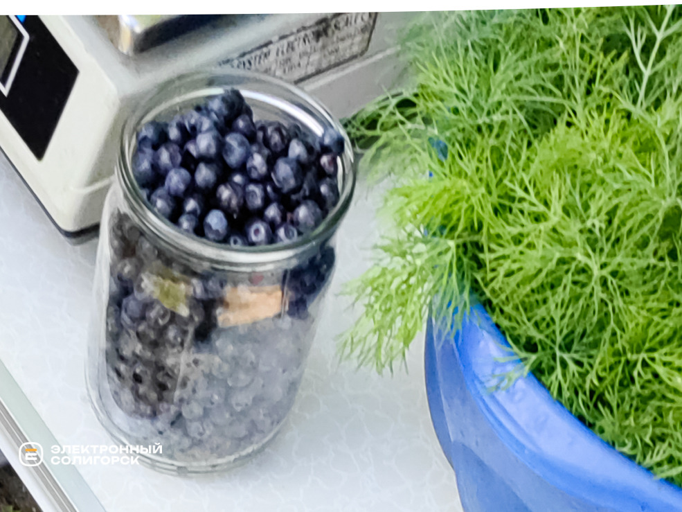 Черника в Солигорске
