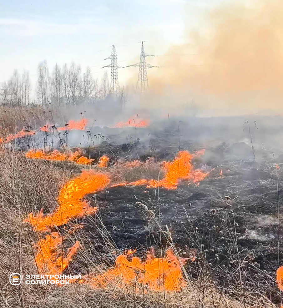 Пожар под Солигорском