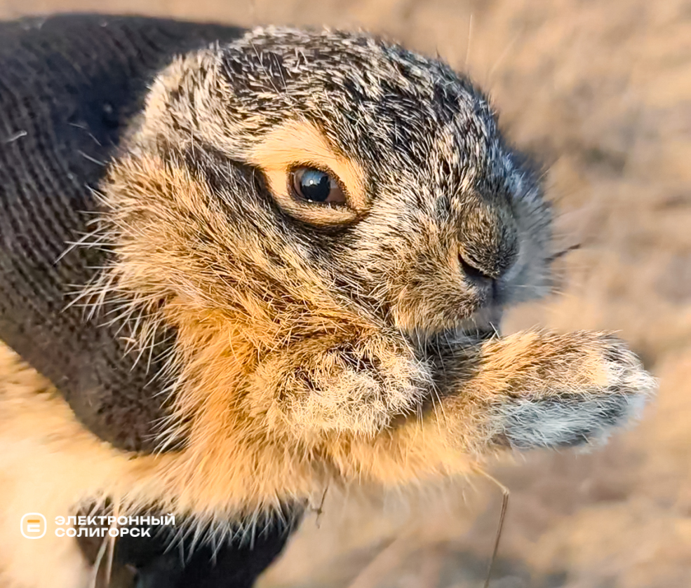 Пожар под Солигорском