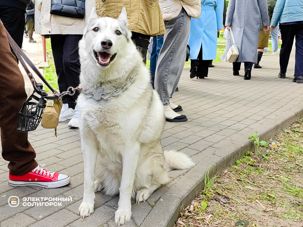 День Победы в Солигорске 2025