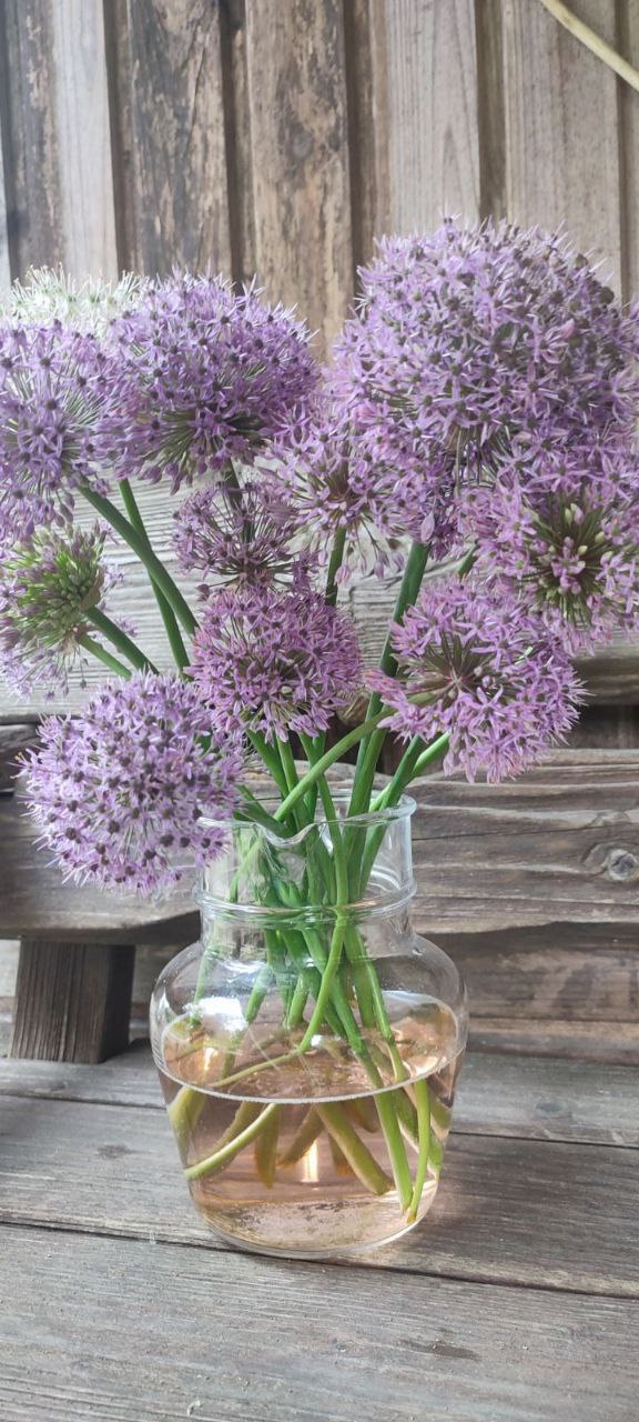 магазин декоративных растений Зелёный мир в Солигорске