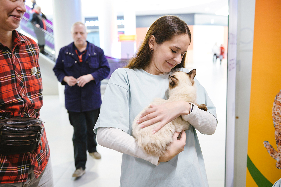 300 кг заботы: Евроопт поддержал фестиваль Город кошек