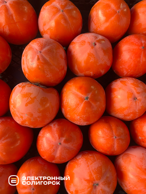 Почем хурма на рынке Октябрьском в Солигорске?