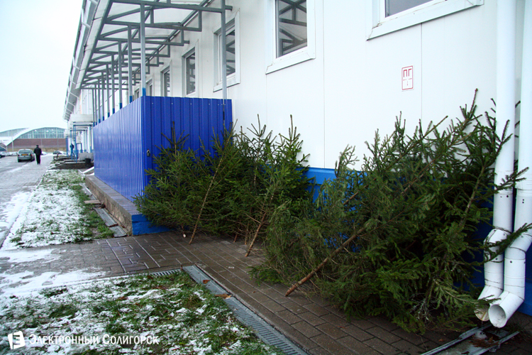 елочные базары Солигорск