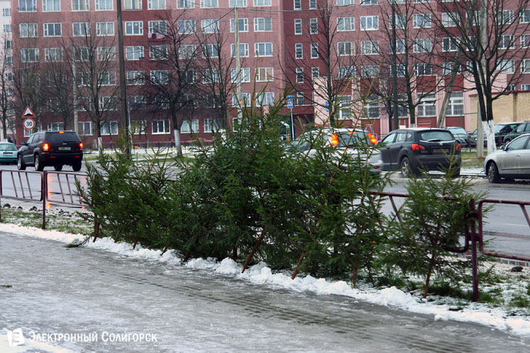 елочные базары Солигорск