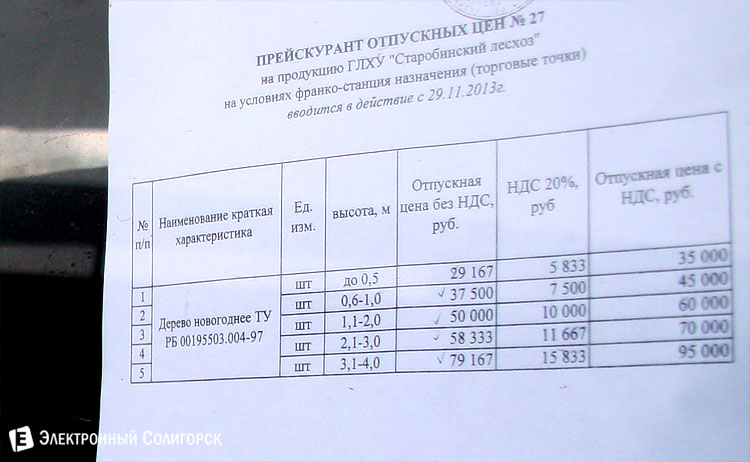 цены новогодних елок в Солигорске