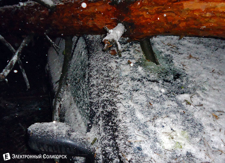 Дерево упало на авто в Солигорске