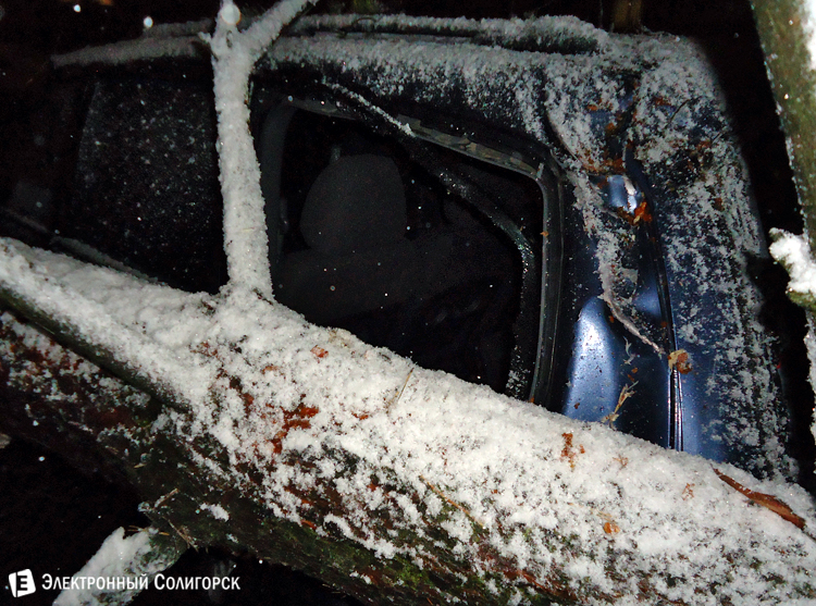 Дерево упало на авто в Солигорске