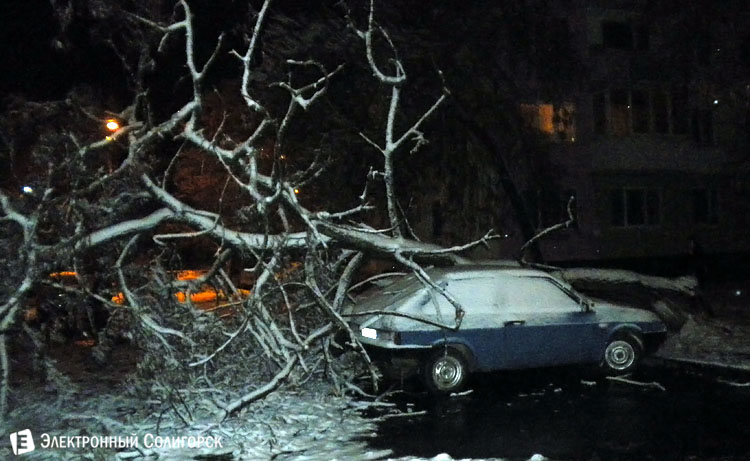 Дерево упало на авто в Солигорске