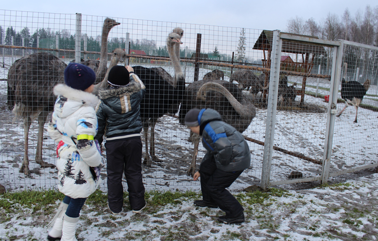 детский развивающий центр солигорск