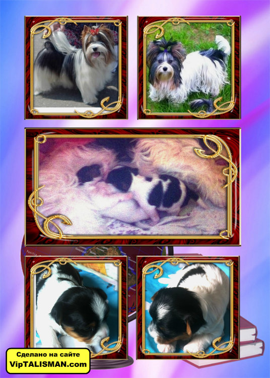 Фото все вместе.jpg