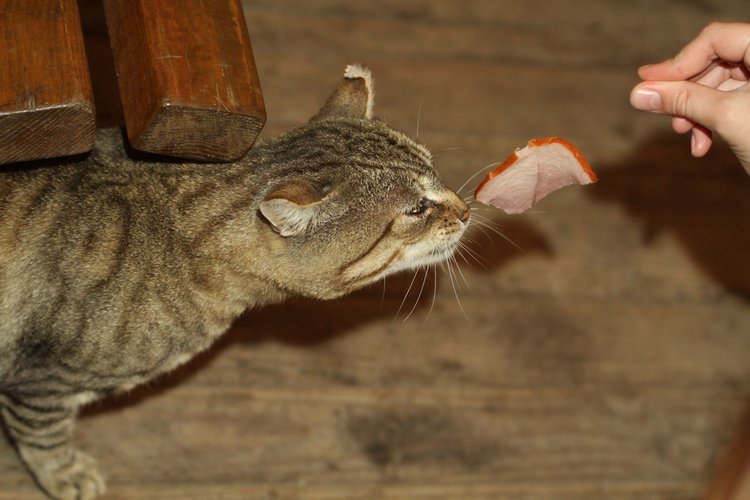 IMG_5548_новый размер.JPG